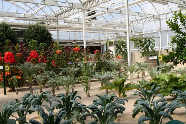 Living With the Land Greenhouse
