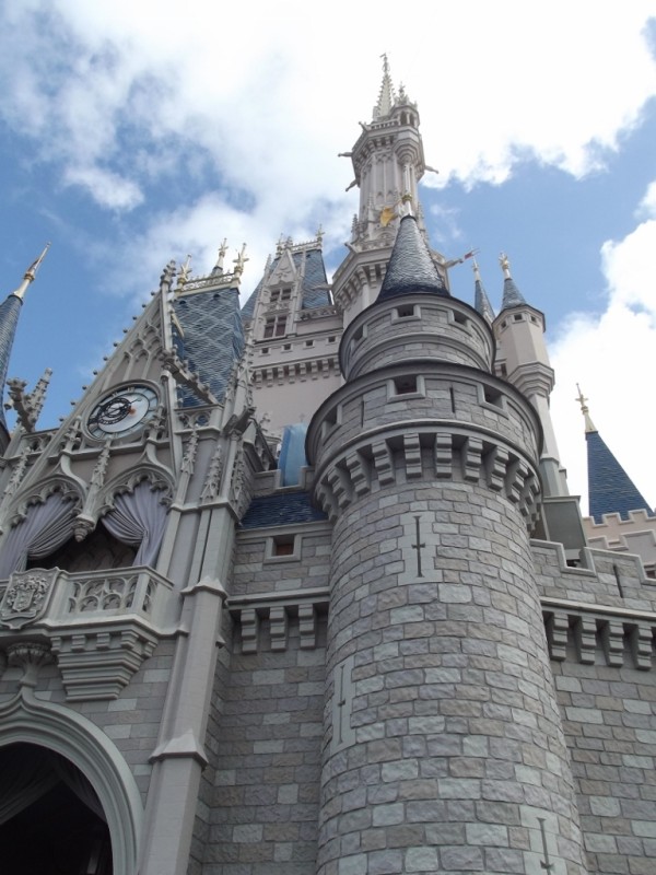 Cinderella Castle-Picture by Lisa McBride