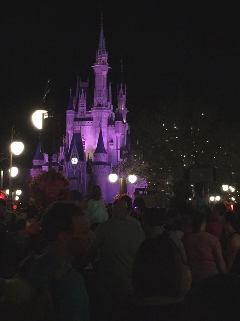 View of Cinderella Castle from FastPass+ Viewing Area-Plaza Gardens East