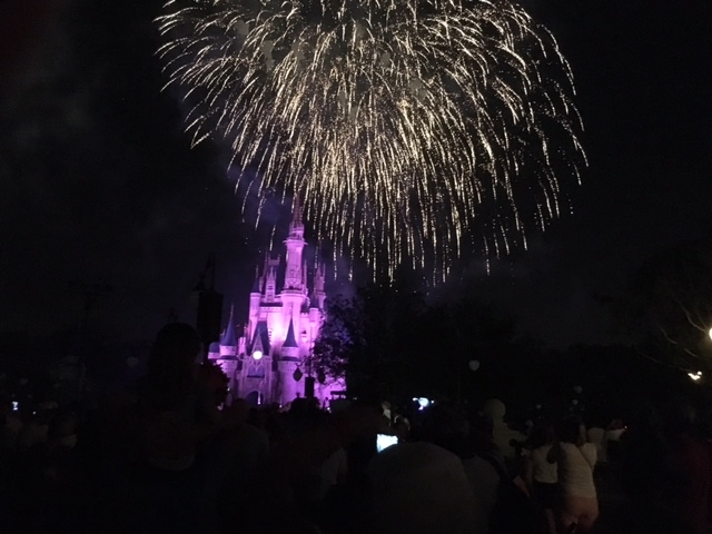 View of Wishes from the Plaza Garden East