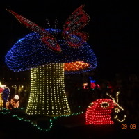 Rumor: Is it Lights Out for the Main Street Electrical Parade?