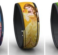 NEW Graphic Magic Bands coming this Month!