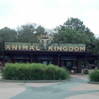 Need a Rest? My Picks for Disney’s Hollywood Studios and Animal Kingdom